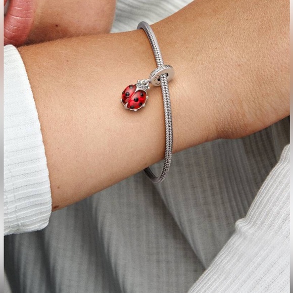 Pandora Sterling Silver, Red “Ladybird” Dangle Charm 🐞
New in Box - Picture 2 of 5